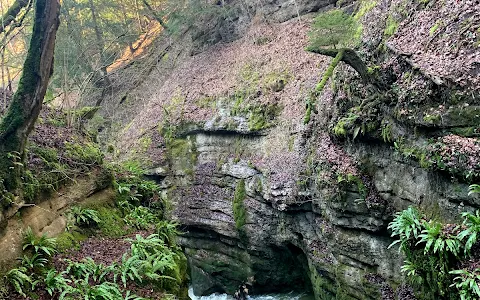 Passerelle du Gor de Brayes image