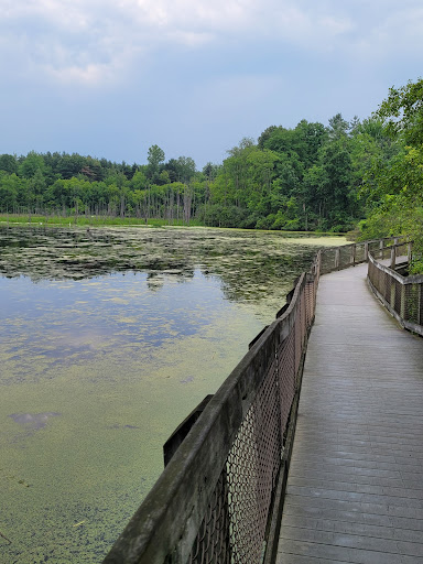 Botanical Garden «Frederik Meijer Gardens», reviews and photos, 1000 E Beltline Ave NE, Grand Rapids, MI 49525, USA
