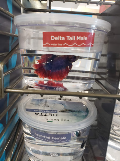 Pet Supply Store «Petco Animal Supplies», reviews and photos, 3444 S Mooney Blvd, Visalia, CA 93277, USA