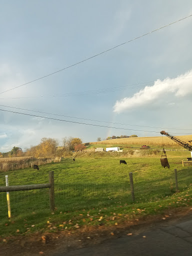 Golf Course «Willandale Golf Club», reviews and photos, 2870 Winklepleck Rd NW, Sugarcreek, OH 44681, USA