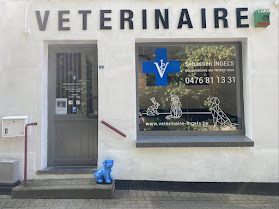 Cabinet Vétérinaire - Sébastien INGELS - Veterinaire du centre de Gistoux