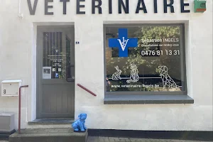 Cabinet Vétérinaire - Sébastien INGELS - Veterinaire du centre de Gistoux image