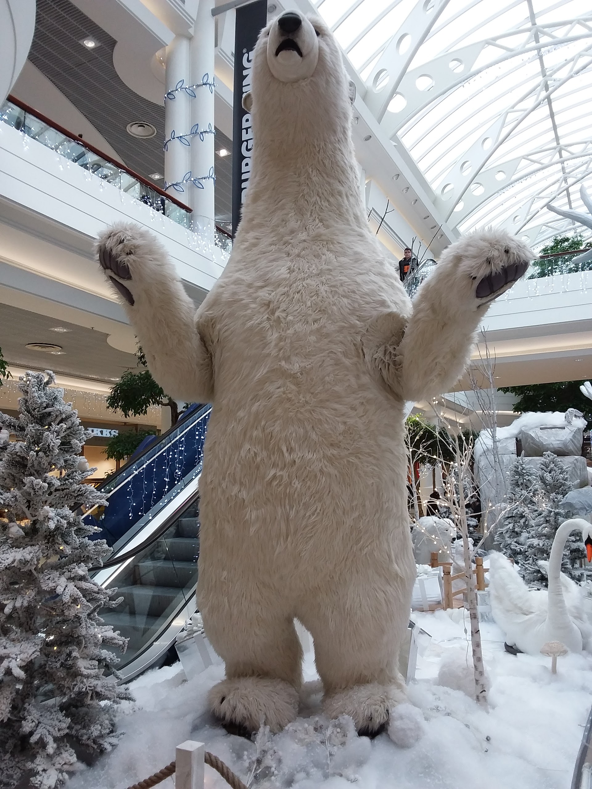 Photo n° 11 de l'avis de Christian.� fait le 29/12/2017 à 22:00