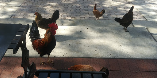 Museum «Ybor City State Museum», reviews and photos, 1818 E 9th Ave, Tampa, FL 33605, USA