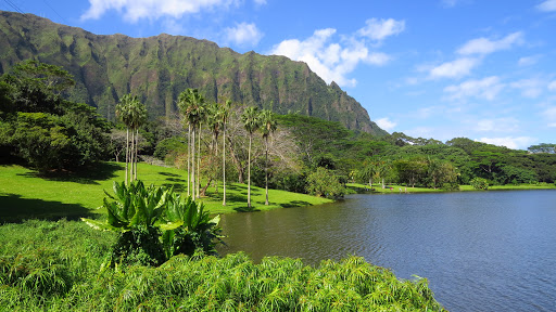 Places to camp in Honolulu