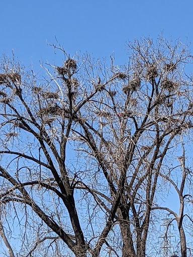 Park «Marshall Terrace Park», reviews and photos, 2740 Marshall St NE, Minneapolis, MN 55418, USA