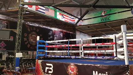 Club de Boxeo Sandoval - Av. Sta. Lucia, Olivar del Conde 1ra Secc, Álvaro Obregón, 01450 Ciudad de México, CDMX, Mexico