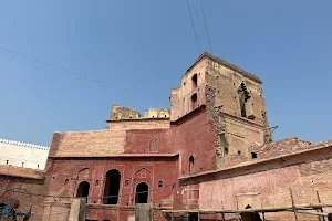Quila Phul ( Fort. ) image