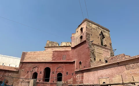 Quila Phul ( Fort. ) image