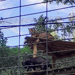 Photo n° 32 de l'avis de Angelique.i fait le 10/09/2022 à 16:55 pour ZooParc de Beauval Entrée Nord à Saint-Aignan