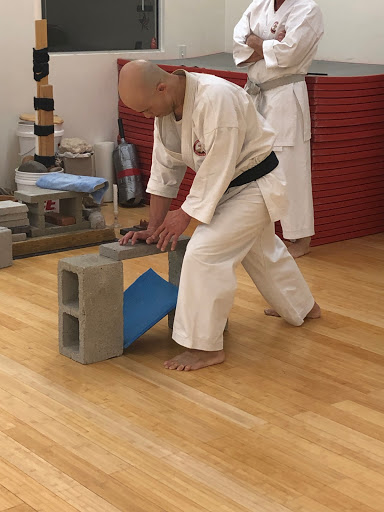 Traditional Karate and Aikido