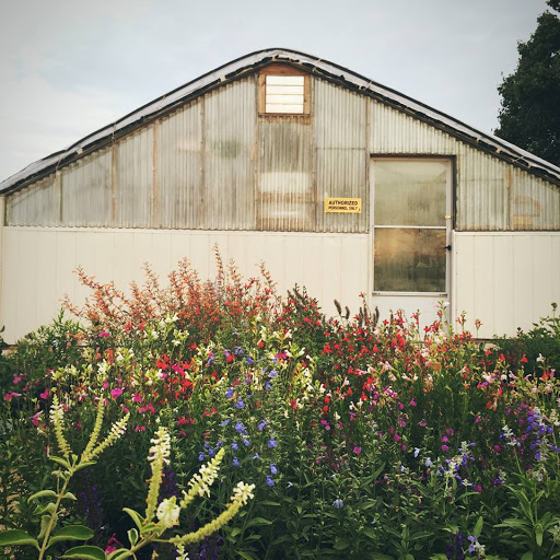 Painted Flower Farm, Inc.