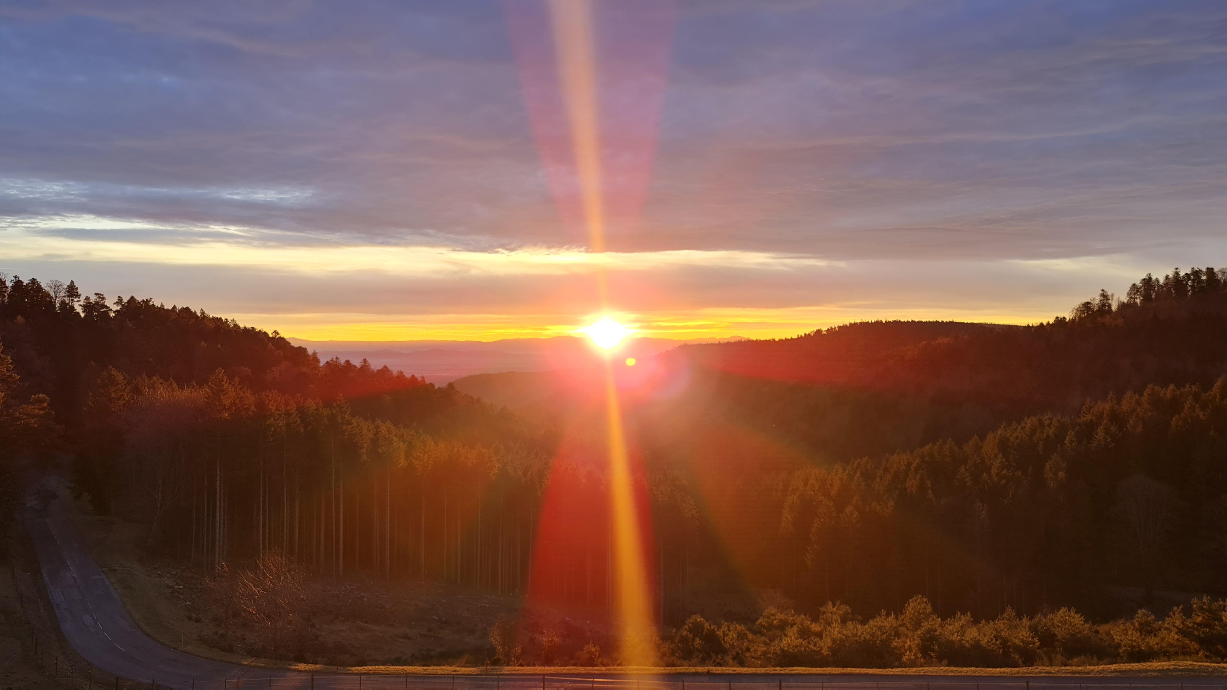 Photo n° 1 de l'avis de Oleksii.a fait le 16/01/2022 à 10:06
