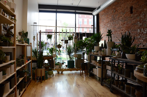 Gift Shop «Moss - Iowa City», reviews and photos, 112 E Washington St, Iowa City, IA 52240, USA