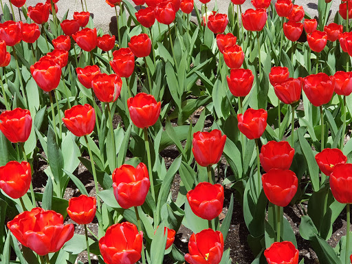 National Park «Castle Clinton National Monument», reviews and photos, Battery Park, New York, NY 10004, USA