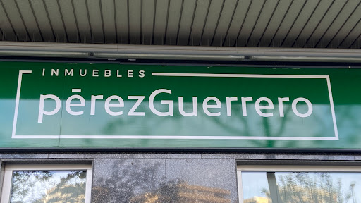 Perez Guerrero properties S.C. en Zaragoza