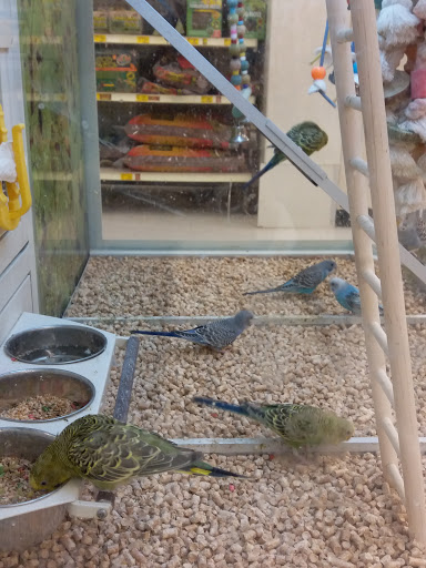 Pet Supply Store «PetSmart», reviews and photos, 88 Dunning Rd, Middletown, NY 10940, USA