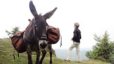 Escap'ânes : Escapade journée ou demi journée randonnée avec un âne pays d'Olmes dans les Pyrénées, en Ariège en Occitanie. Roquefixade