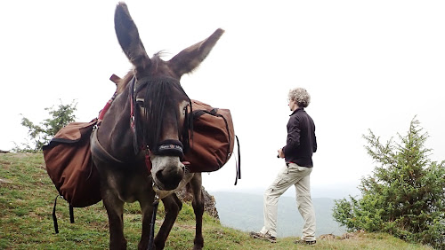 Escap'ânes : Escapade journée ou demi journée randonnée avec un âne pays d'Olmes dans les Pyrénées, en Ariège en Occitanie. à Roquefixade