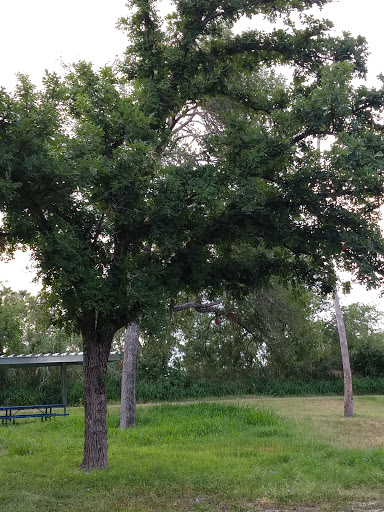 Nature Preserve «McAllen Nature Center», reviews and photos, 4101 U.S. 83 Business, McAllen, TX 78501, USA