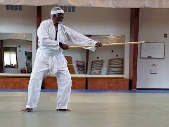 Aikido in Fredericksburg