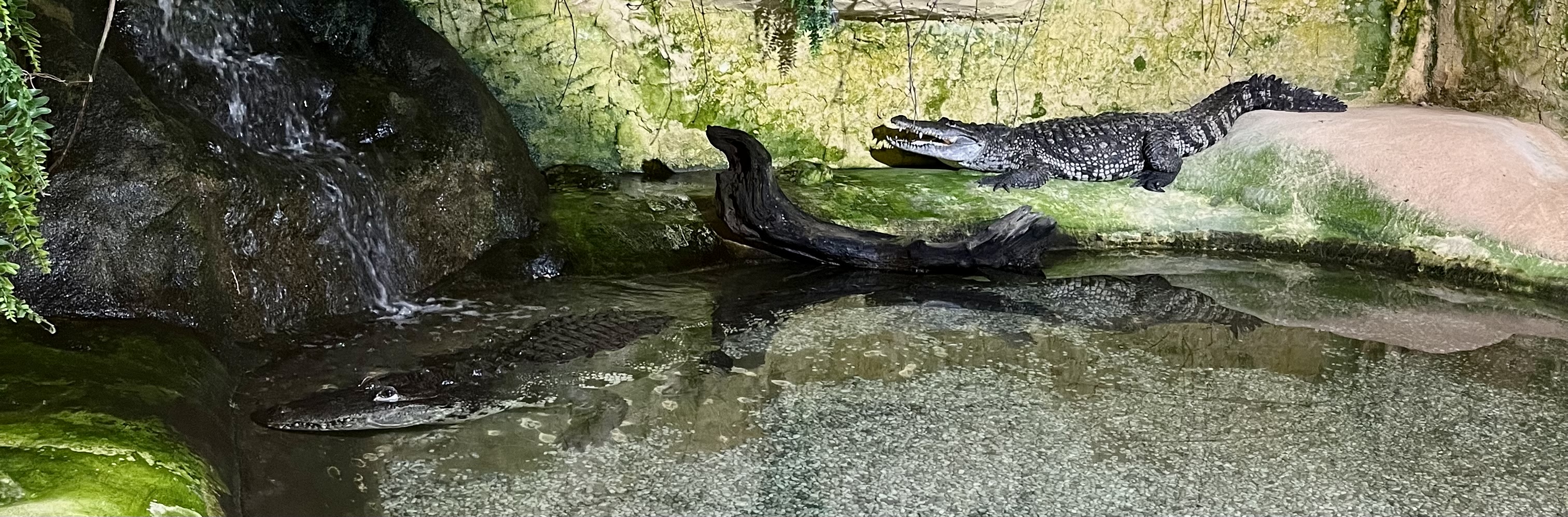 Photo n° 5 de l'avis de Elisa.i fait le 04/11/2023 à 18:33