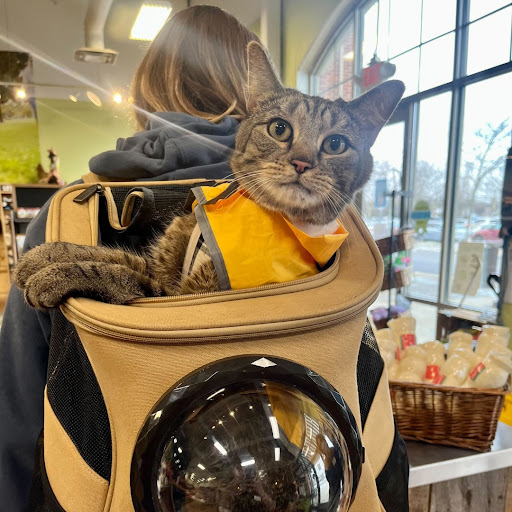 Pet Supply Store «Mutts & Co. Upper Arlington», reviews and photos, 1545 W Lane Ave, Upper Arlington, OH 43212, USA