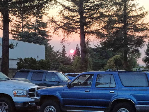 Los Gatos Auto Service, Inc. image