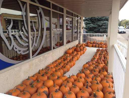 Insurance Agency «Allstate Insurance Agent: Sniezek Group Agency», reviews and photos