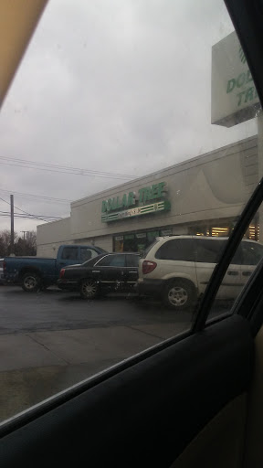 Dollar Store «Dollar Tree», reviews and photos, 10830 Warren Ave, Dearborn, MI 48126, USA