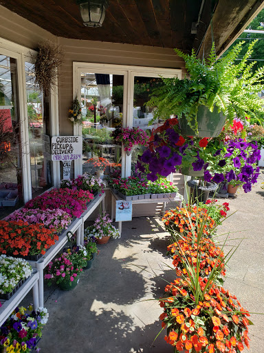 Florist «Colonial Gardens Full Service Florist & Garden Center», reviews and photos, 442 Fitchburg Turnpike, Concord, MA 01742, USA