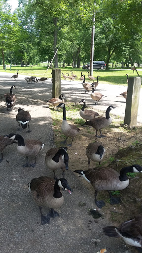 Public Swimming Pool «Water Works Family Aquatic Center», reviews and photos, 2025 Munroe Falls Ave, Cuyahoga Falls, OH 44221, USA
