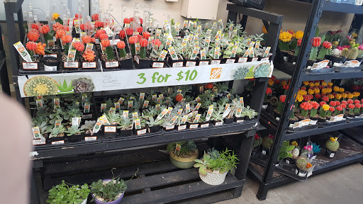 Home Improvement Store «The Home Depot», reviews and photos, 11360 Rojas Dr, El Paso, TX 79936, USA