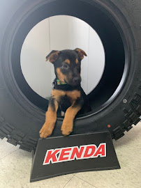 Westside Tire & Service - Photo 4 - Car repair in Niles, OH, Youngstown