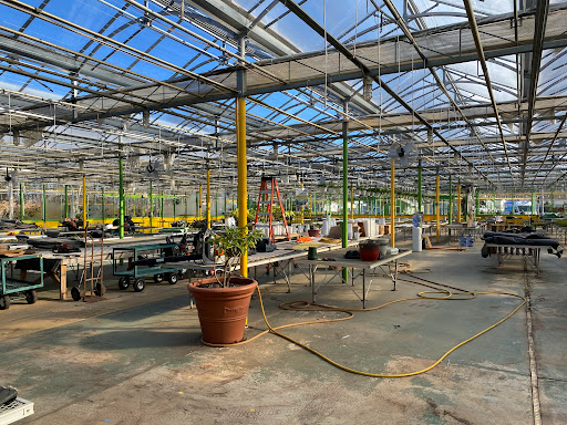 Florist «Dutch & Olgas Greenhouse», reviews and photos, 1285 NJ-36, Hazlet, NJ 07730, USA