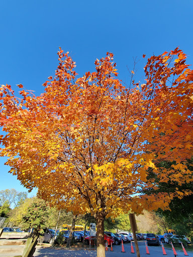 Park «Tibbetts Brook Park», reviews and photos, 355 Midland Ave, Yonkers, NY 10704, USA