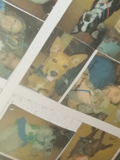 Pet Groomer «Animal House», reviews and photos, 705 Asbury Ave, Ocean City, NJ 08226, USA