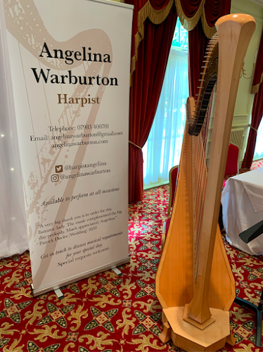 Angelina Egerton - piano and harp teacher in York - Music store