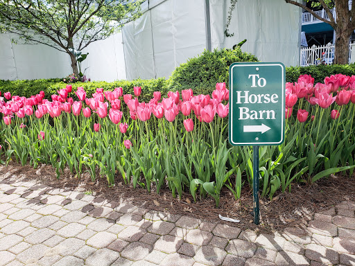 Museum «Kentucky Derby Museum», reviews and photos, 704 Central Ave, Louisville, KY 40208, USA