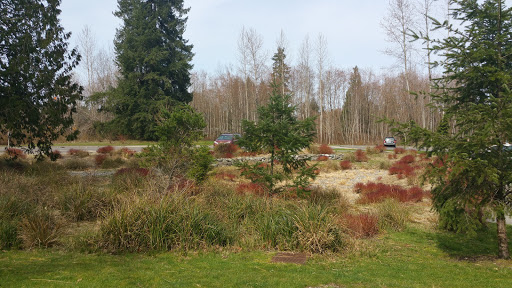 Park «Tambark Creek Park», reviews and photos, 17217 35th Ave SE, Bothell, WA 98012, USA