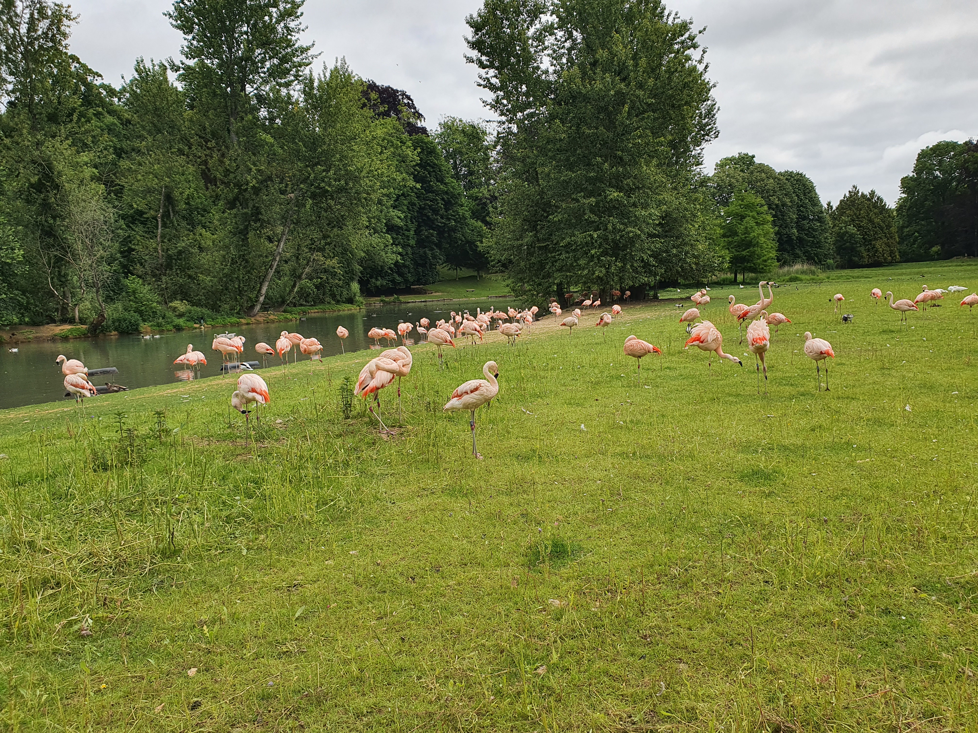 Photo n° 8 de l'avis de VIRGINIE.A fait le 10/06/2022 à 13:51