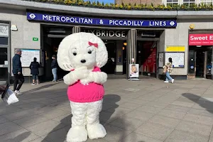 Teddy Bear Bubble Tea Uxbridge image