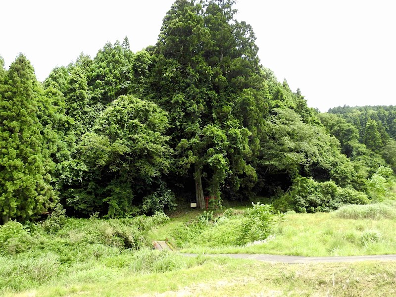 十二社神社（熊野神社・熊野権現）