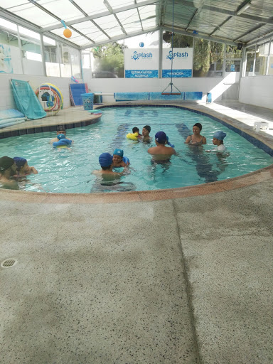 Clases natacion bebes Quito