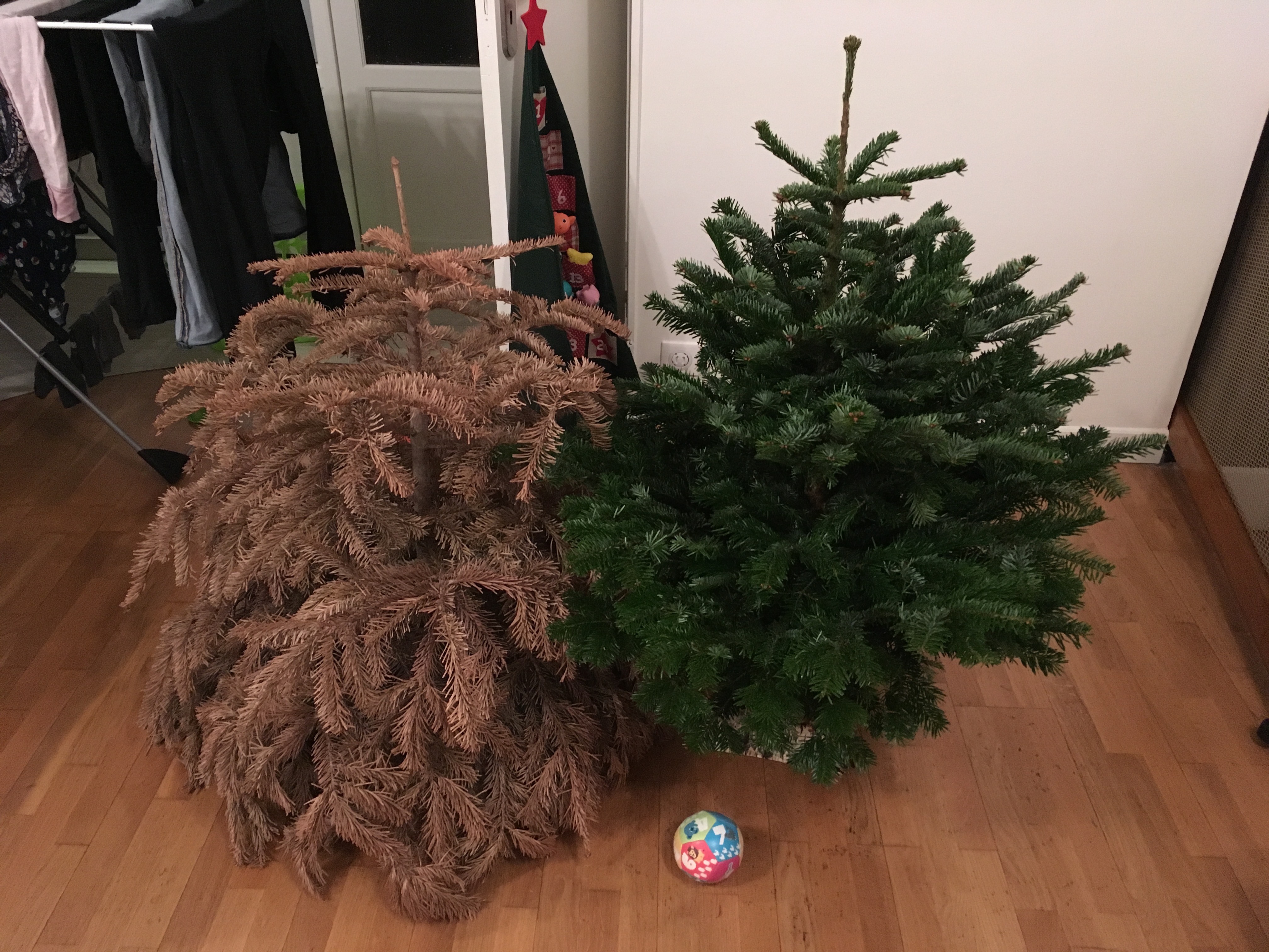 Photo n° 1 de l'avis de Thibault.e fait le 15/12/2018 à 18:46