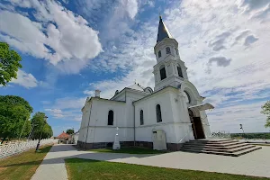 Church of the Assumption of the Blessed Virgin Mary into Heaven, Telšiai image