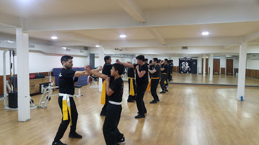 Wing Chun Chile Kwoon Ejercito