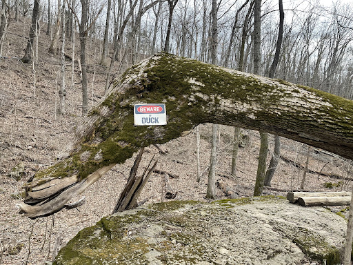 Tourist Attraction «Adventureworks Zipline Forest», reviews and photos, 4129 Whites Creek Pike, Whites Creek, TN 37189, USA