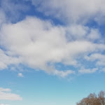 Photo n°2 de l'avis de R... fait le 02/04/2022 à 18:11 sur le  Trattoria del Moro à Bolsena