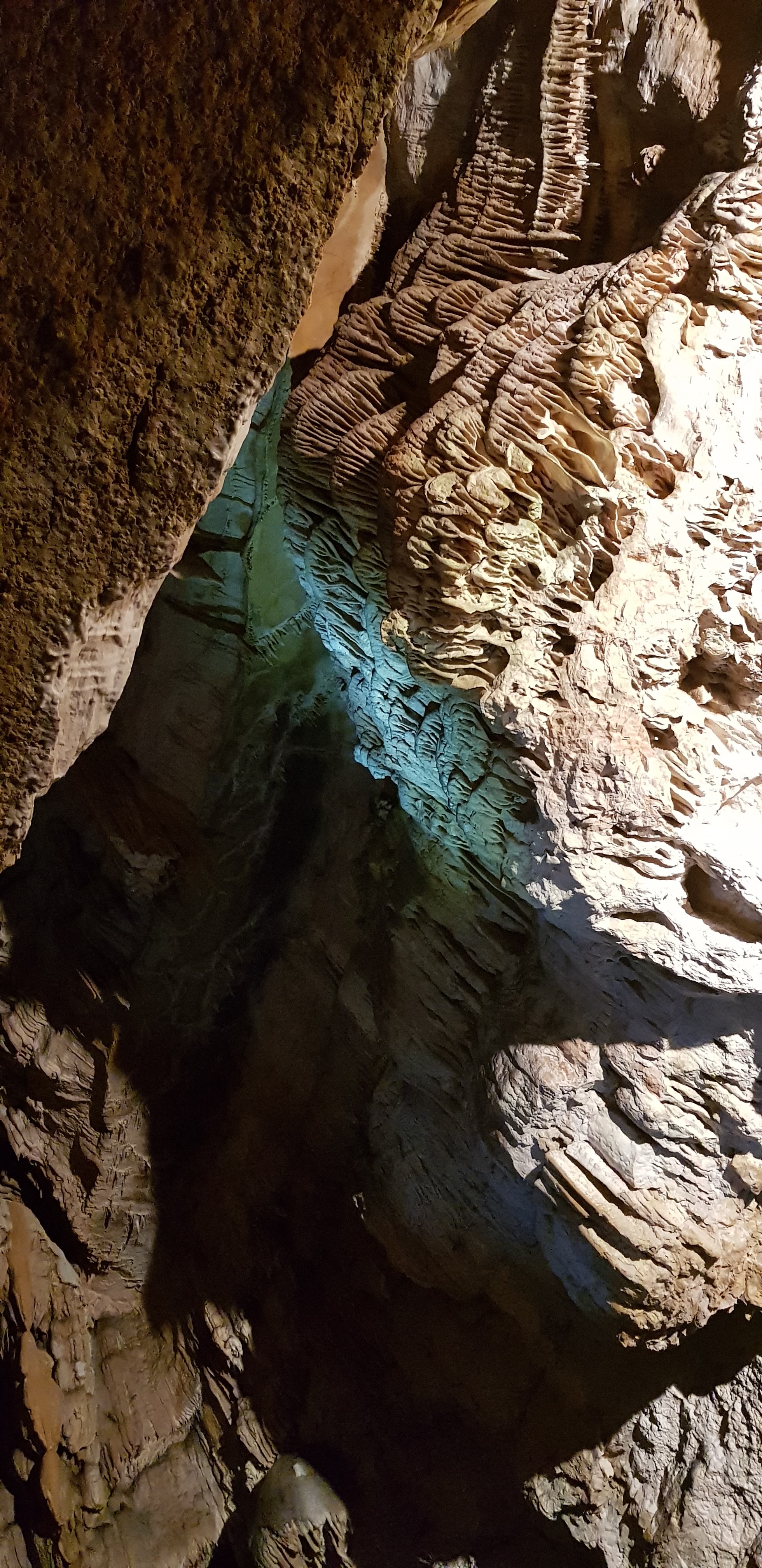 Photo n° 4 de l'avis de Papato.r fait le 04/08/2019 à 14:16